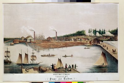 Uitzicht op de Houtzagerij van de Puget Mill Company in Teekalet, 1856 door T. Grob
